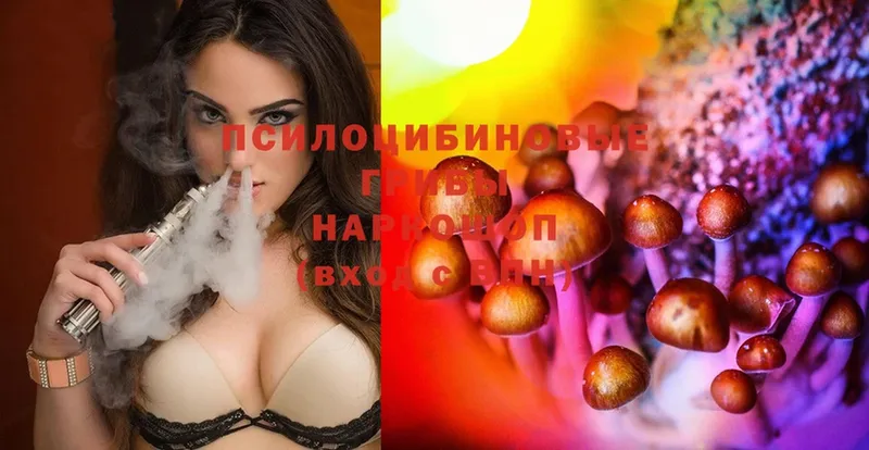 сколько стоит  Барабинск  ОМГ ОМГ как зайти  Псилоцибиновые грибы Psilocybe 